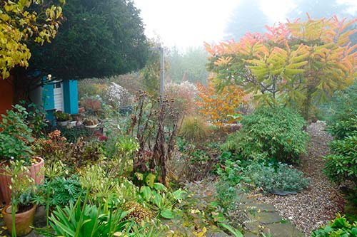 Ehemaliger eigener Privatgarten I Sabine Zentek, Impressionen Herbst