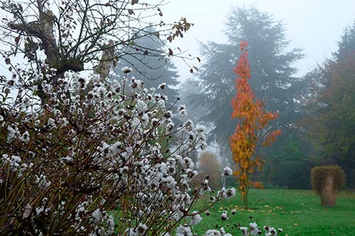 Ehemaliger eigener Privatgarten I Sabine Zentek, Impressionen Herbst