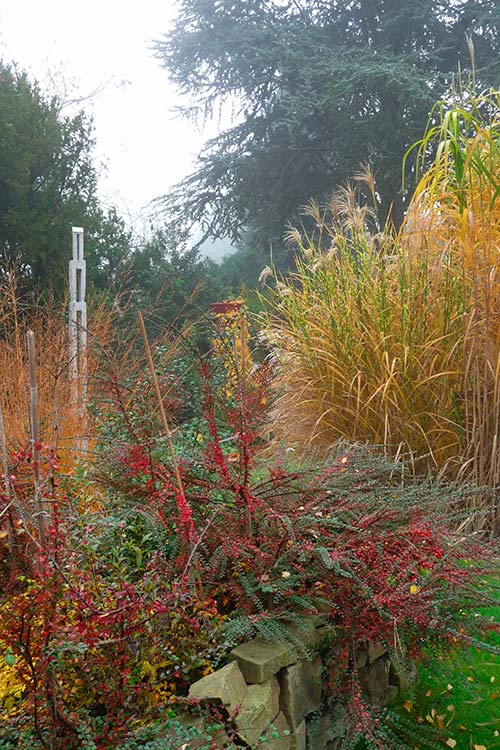 Ehemaliger eigener Privatgarten I Sabine Zentek, Impressionen Herbst