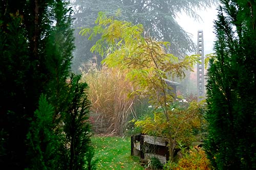 Ehemaliger eigener Privatgarten I Sabine Zentek, Impressionen Herbst
