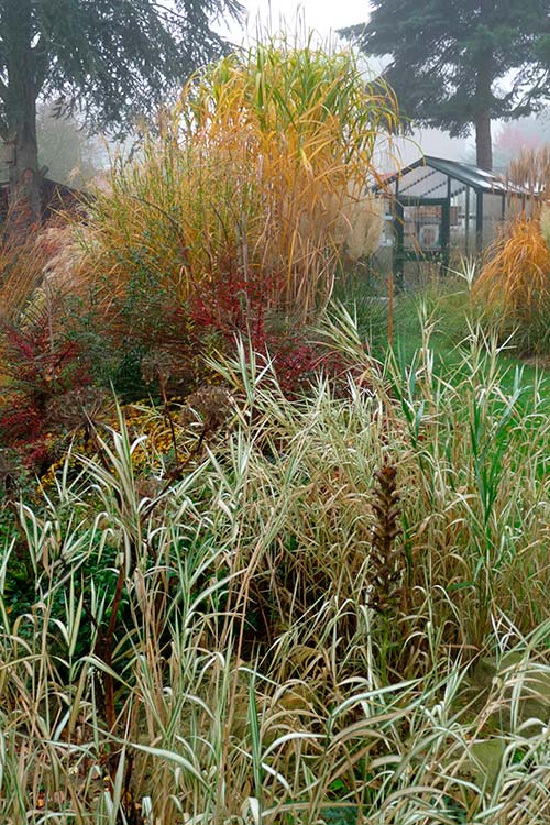 Ehemaliger eigener Privatgarten I Sabine Zentek, Impressionen Herbst