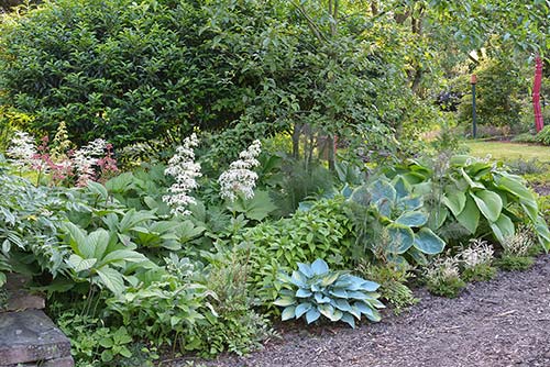 Ehemaliger eigener Privatgarten I Sabine Zentek, Impressionen Sommer