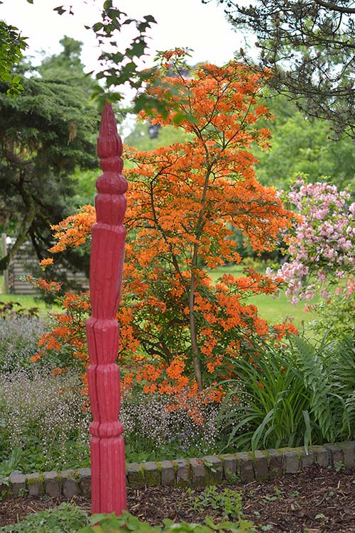 Ehemaliger eigener Privatgarten I Sabine Zentek, Impressionen Sommer