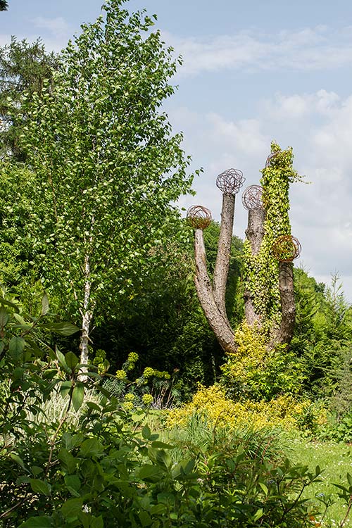 Ehemaliger eigener Privatgarten I Sabine Zentek, Impressionen Sommer