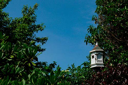 Ehemaliger eigener Privatgarten I Sabine Zentek, Impressionen Sommer