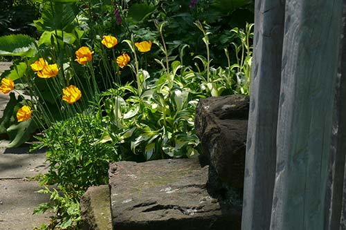 Ehemaliger eigener Privatgarten I Sabine Zentek, Impressionen Sommer