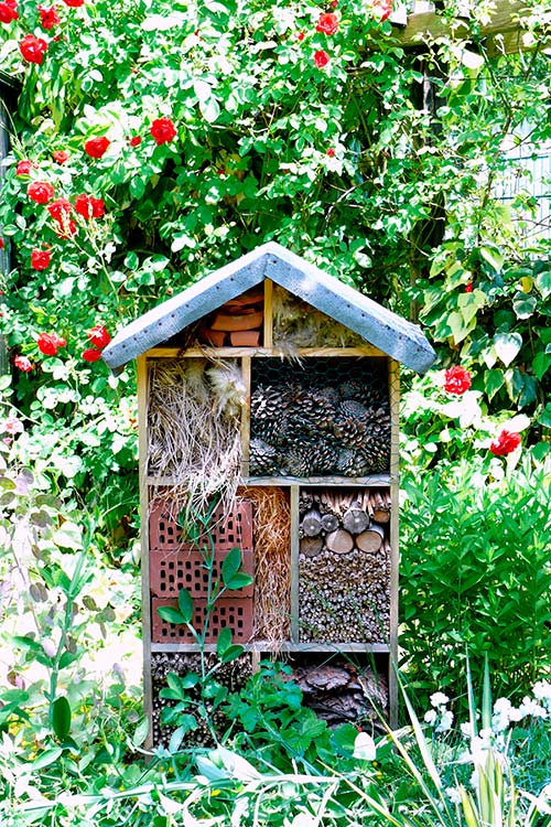 Ehemaliger eigener Privatgarten I Sabine Zentek, Impressionen Sommer