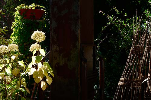 Ehemaliger eigener Privatgarten I Sabine Zentek, Impressionen Sommer