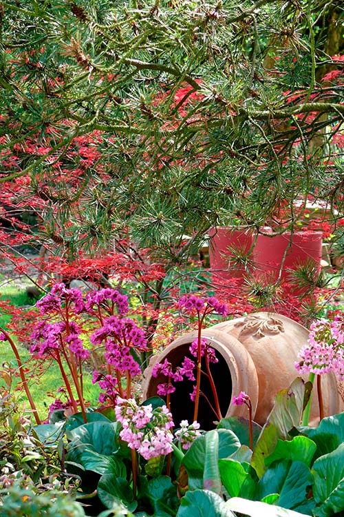 Ehemaliger eigener Privatgarten I Sabine Zentek, Impressionen Sommer