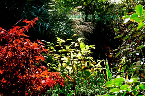 Ehemaliger eigener Privatgarten I Sabine Zentek, Impressionen Sommer