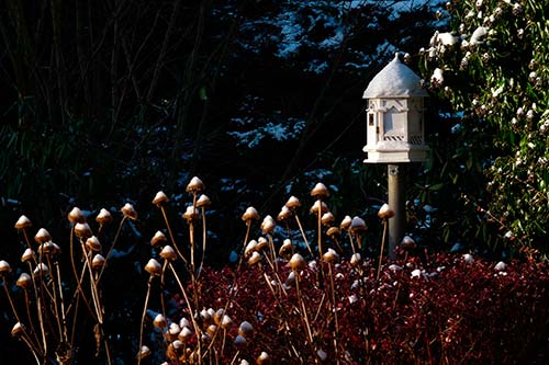 Ehemaliger eigener Privatgarten I Sabine Zentek, Impressionen Winter