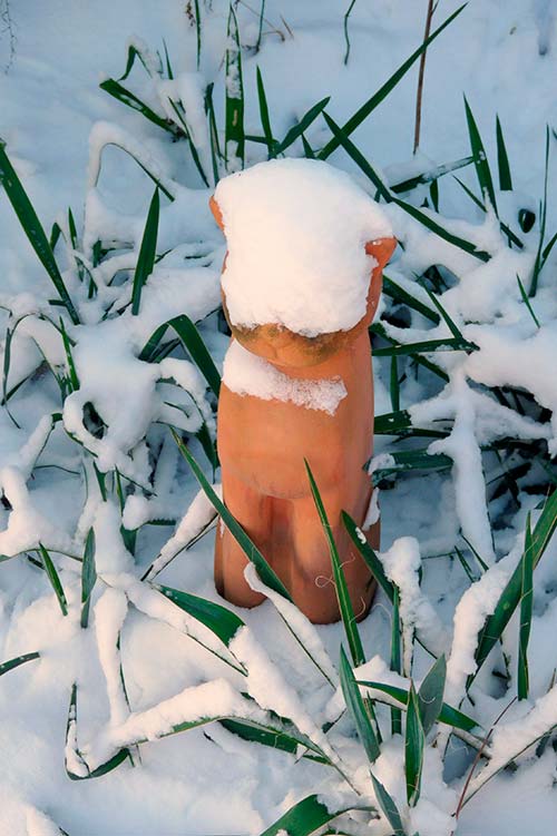 Ehemaliger eigener Privatgarten I Sabine Zentek, Impressionen Winter